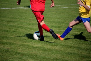 米兰体育app官方下载-NBA球员训练计划个性化设计，nba球员训练视频,篮球技术