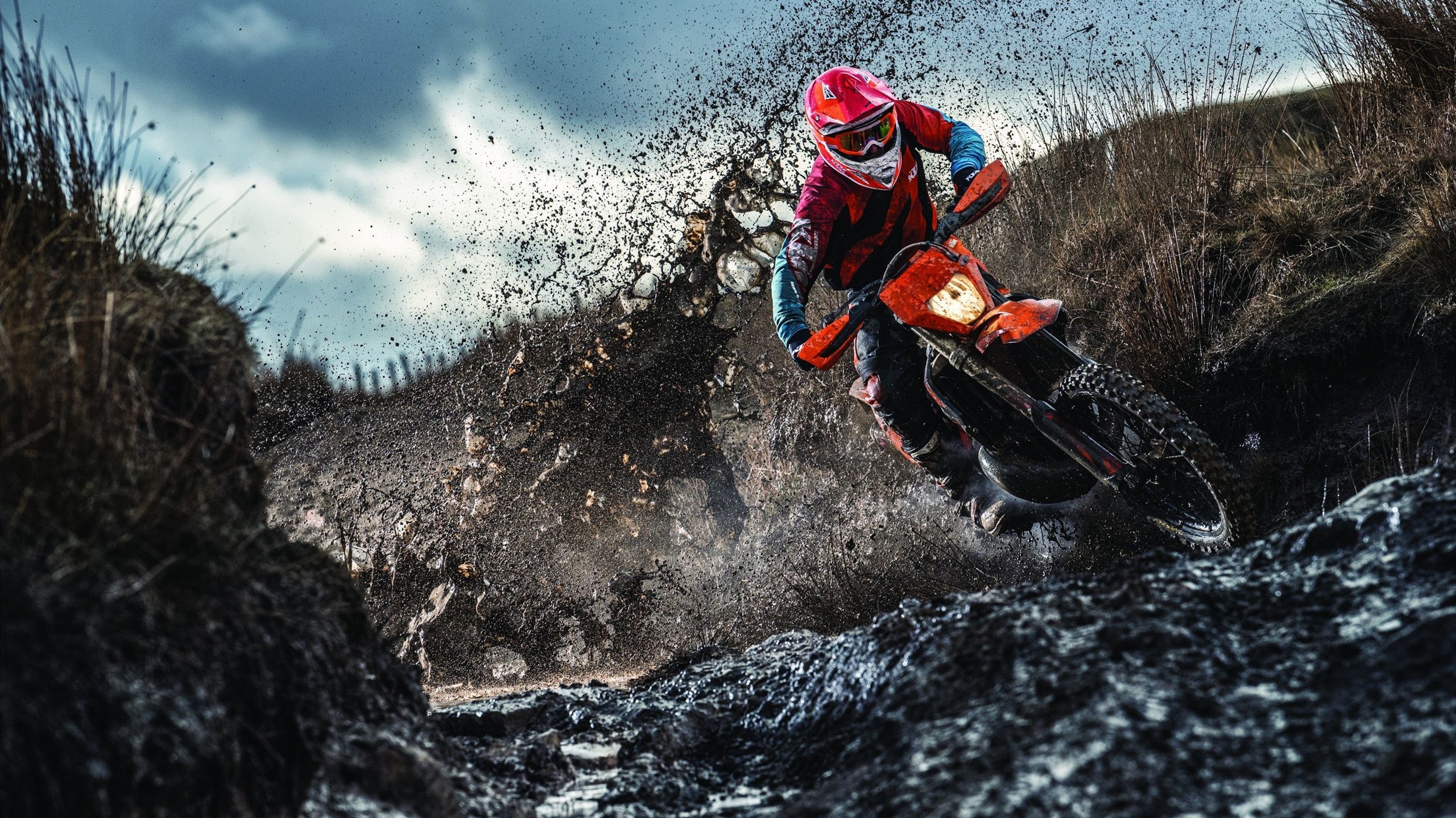 2026年世界羽联超级1000赛事·南京站：国羽收获两冠两亚